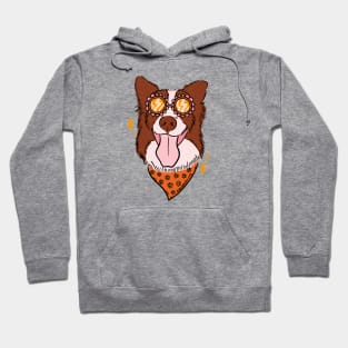 Summer Dog Hoodie